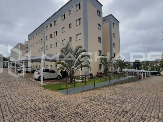 Apartamento para Venda em São Carlos - 4