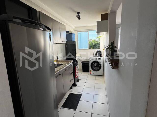 #331 - Apartamento para Venda em São Carlos - SP - 2