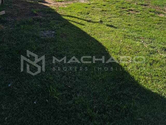 Área para Venda em São Carlos - 3