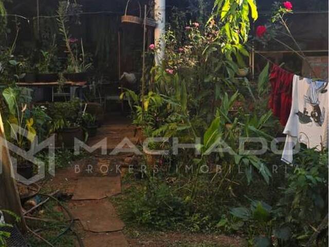 #386 - Área para Venda em São Carlos - SP - 2