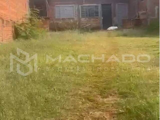 #386 - Área para Venda em São Carlos - SP - 3